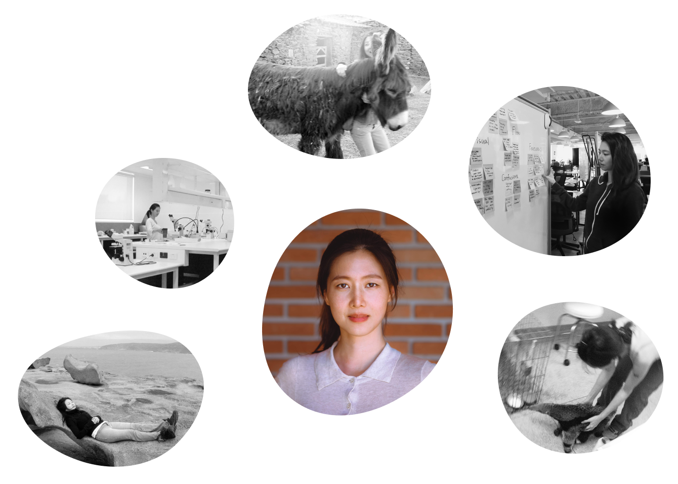 Collage of photos of Marina Tai: a portrait, with a donkey, at a lab bench, leading an affinity mapping session, relaxing on coastal rocks, and examining an animal patient